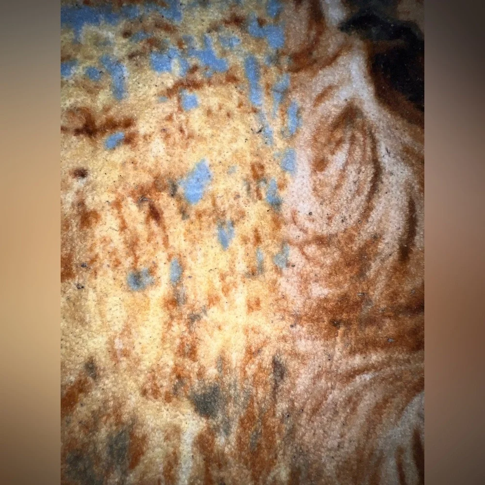 Northwest Golden Retriever Throw Blanket!